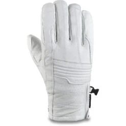 Phantom GORE-TEX Glove - W21