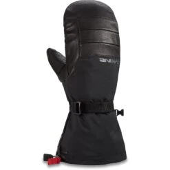 Phoenix GORE-TEX Mitt